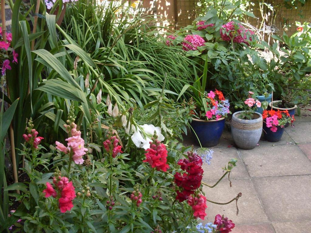 Cambridge House Guest House Eastbourne Quarto foto